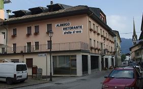 Stella D'Oro